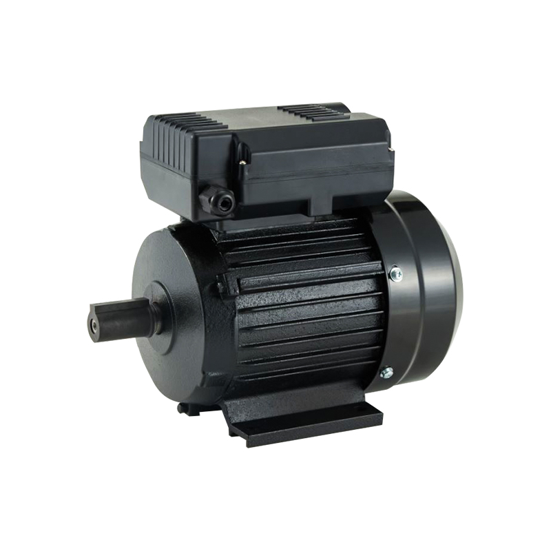 YL High Efficient Single Phase Dual-Capacitor Induction Motor