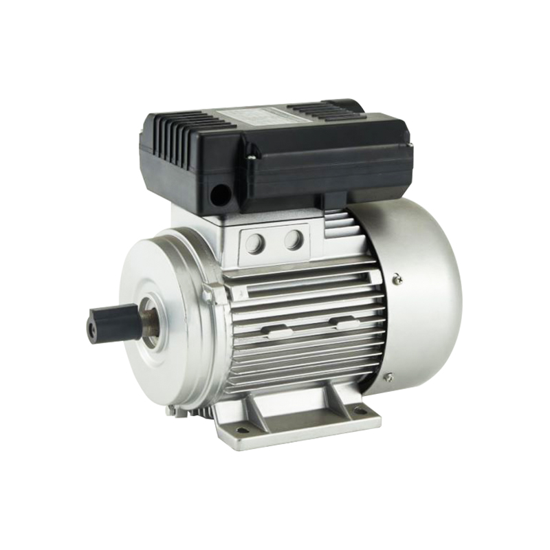 YL High Efficient Single Phase Dual-Capacitor Induction Motor