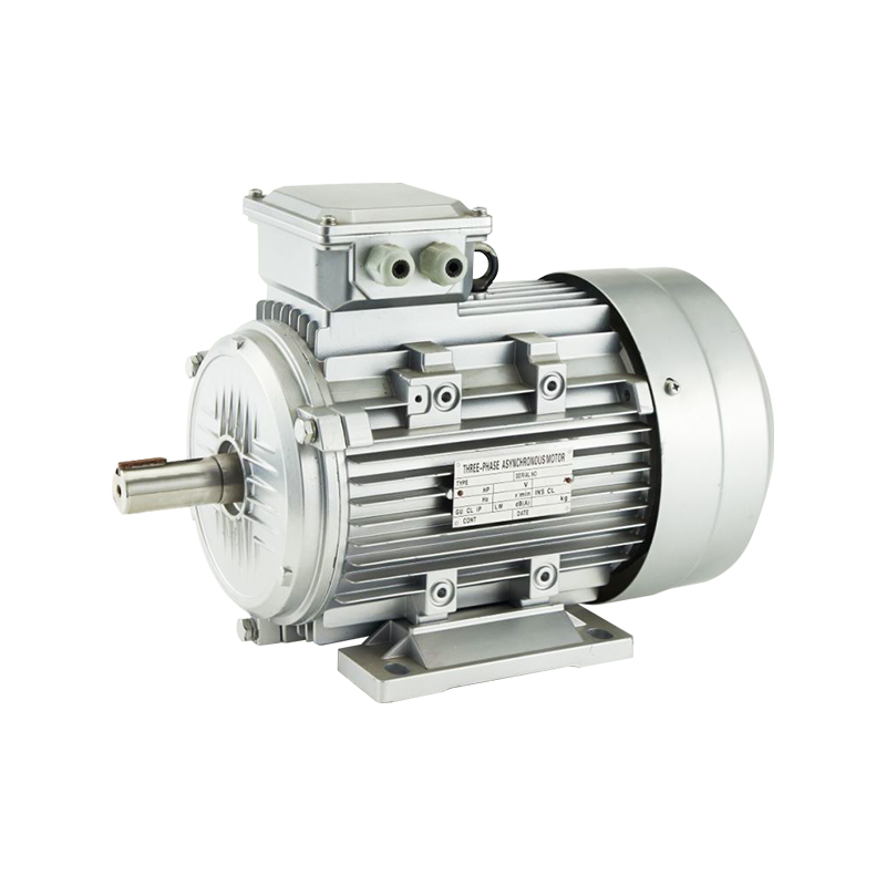 Y2 Series Three-Phase Induction Asynchronous Motor