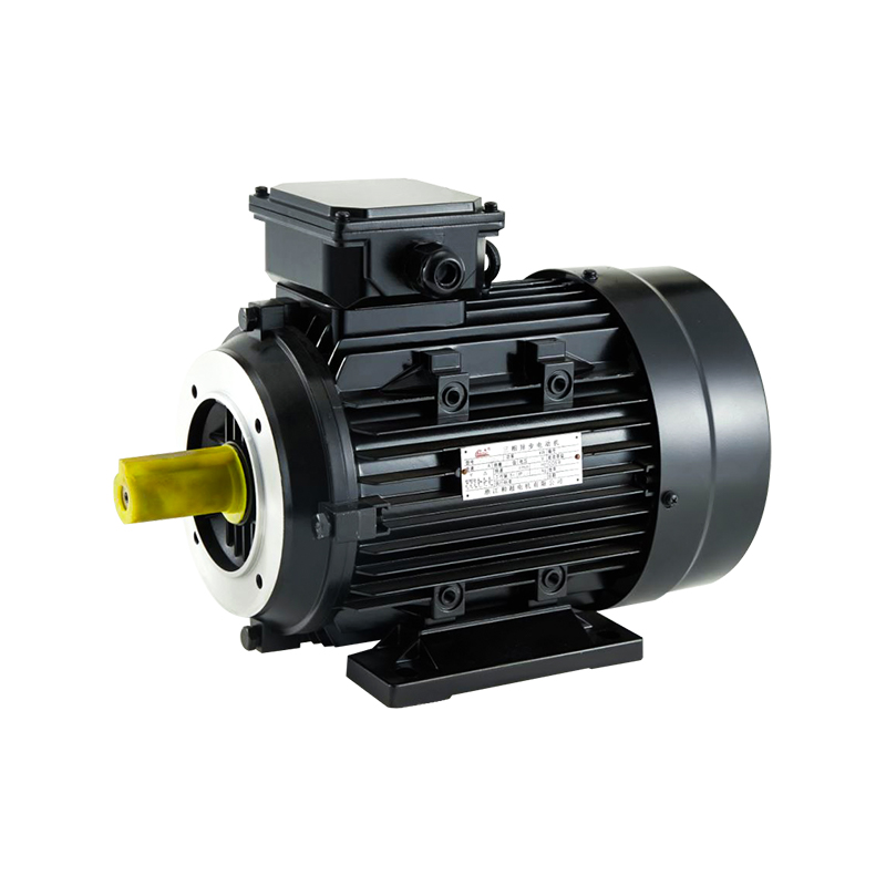 Y2 Series Three-Phase Induction Asynchronous Motor