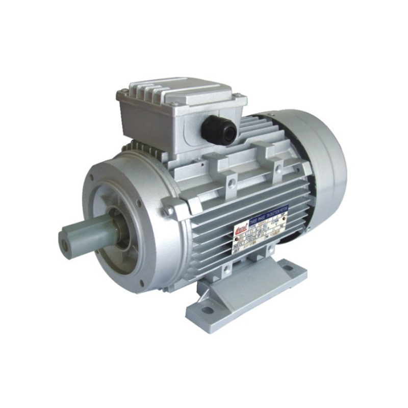 MS Series Aluminum Housing Three-Phase Induction Motor