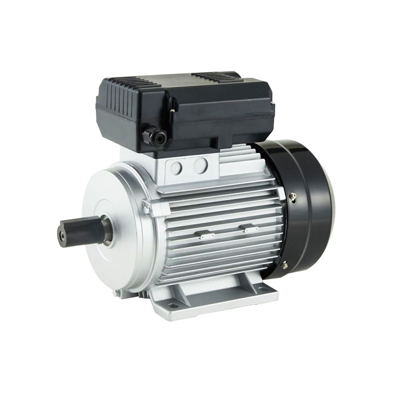 YL High Efficient Single Phase Dual-Capacitor Induction Motor